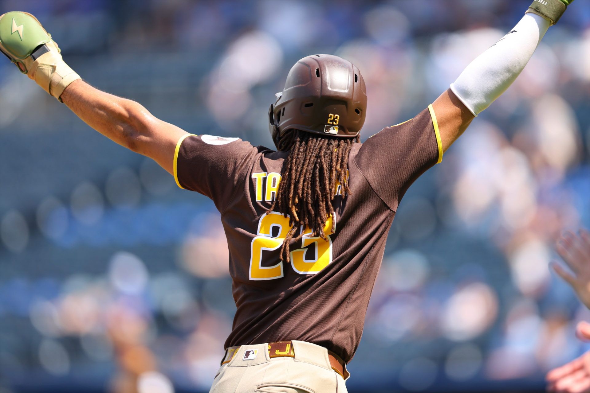 Fernando Tatis Jr.